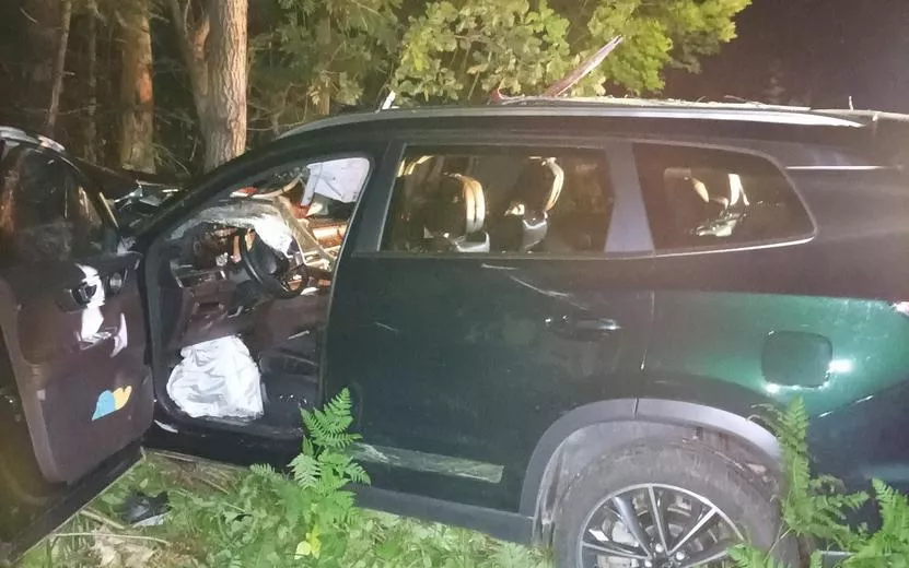 Два человека погибли в ДТП с лосем в Удмуртии