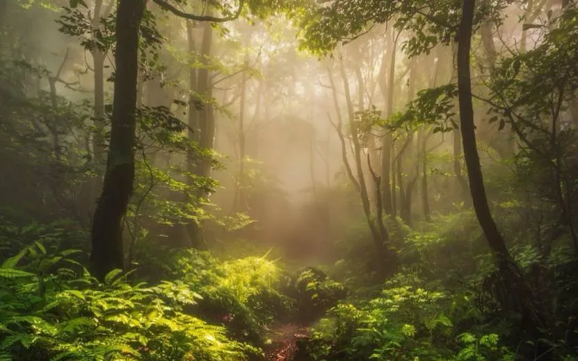 Гороскоп по дате рождения на день – 7 октября: Тельцам стоит проявлять терпение, а Стрельцам – сохранять гибкость мышления
