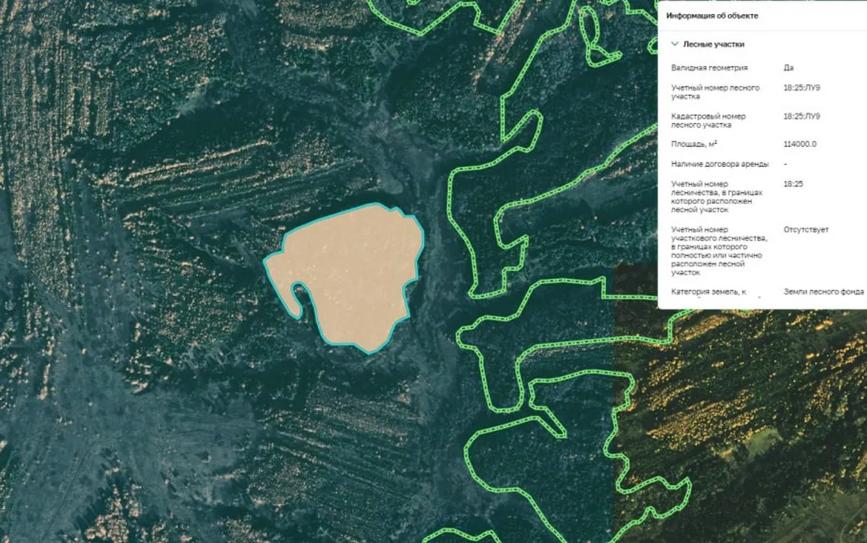 Более 11 га лесного фонда вернули государству в Удмуртии