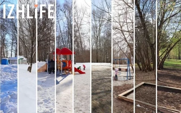 Наступление весны в Березовой роще