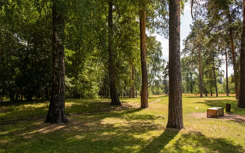 Культбаза – один из самых зеленых и тихих районов Ижевска. Будущим жителям квартала на Шишкина будет приятно здесь жить, растить здесь детей и вместе с ними любоваться окружающей красотой