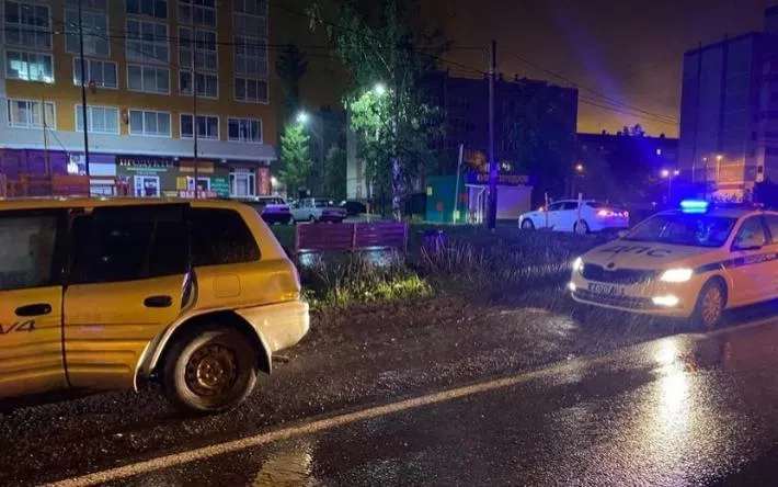 Пьяный водитель натравил собаку на сотрудников ГИБДД в Ижевске
