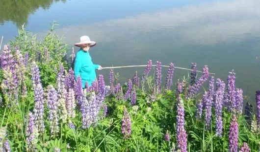 архив редакции