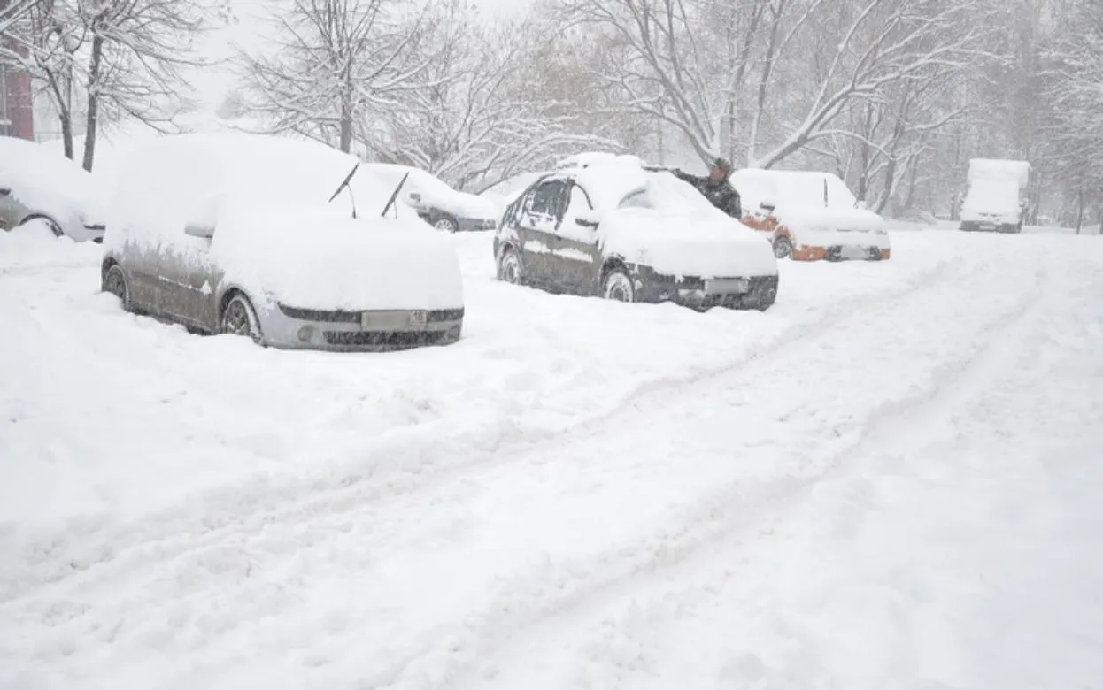 Погода в Ижевске на день: 21 февраля ждем ночной снегопад и до -5°С днем