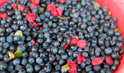 архив редакции