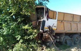 Врезавшийся в дерево водитель грузовика погиб в Удмуртии