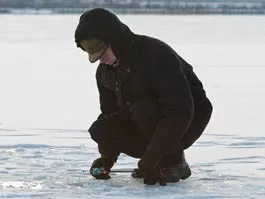 и видео автора