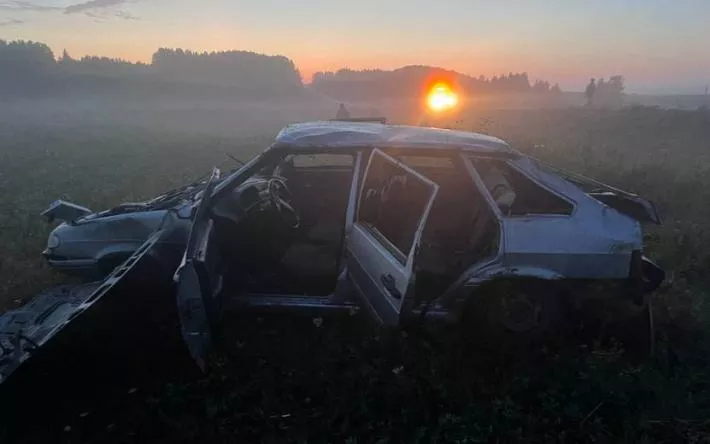 Пьяный водитель и его 17-летний пассажир пострадали в ДТП в Удмуртии