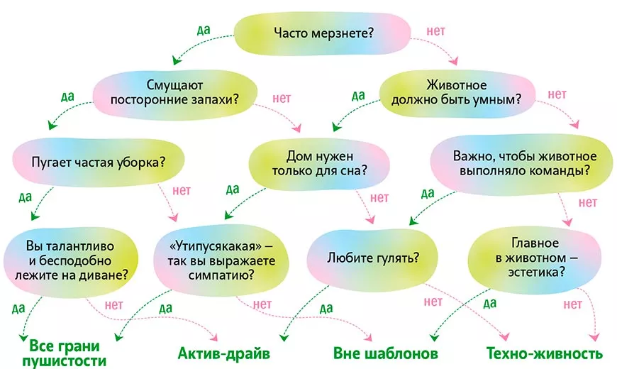 Тина Канделаки: 