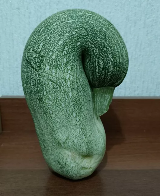 кабачок Марина Гусева.jpg