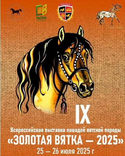 MyCollages - 2025-07-24T113734.382.jpg