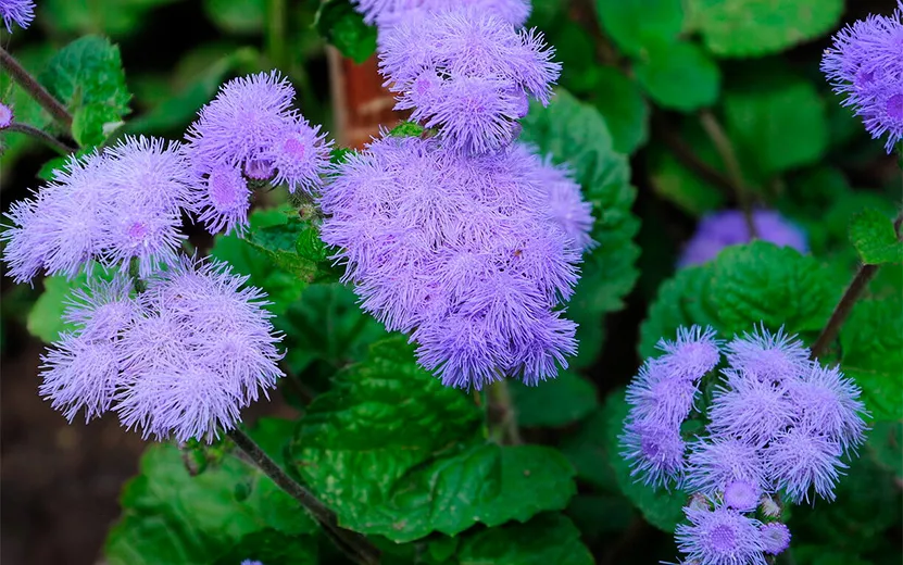 Фото5-(2).jpg