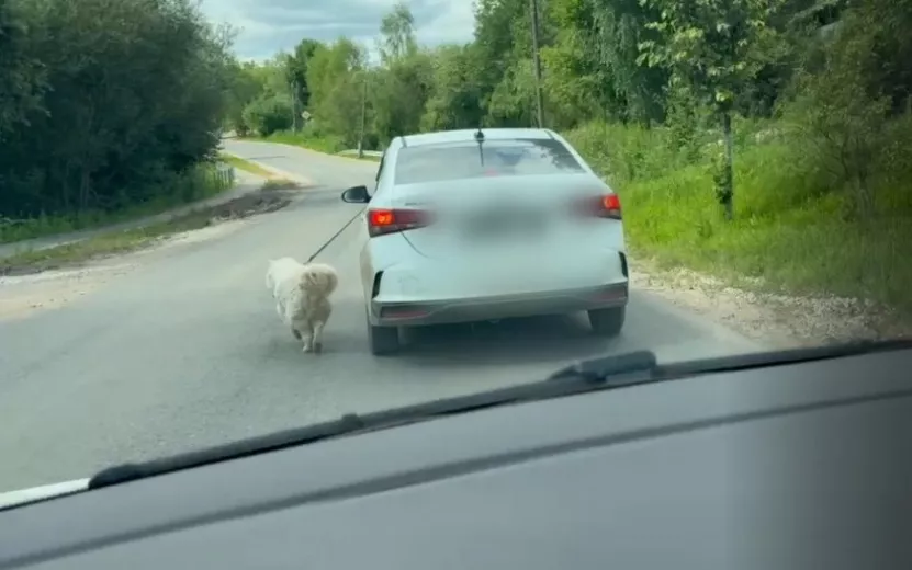 MyCollages (5) (1).jpg