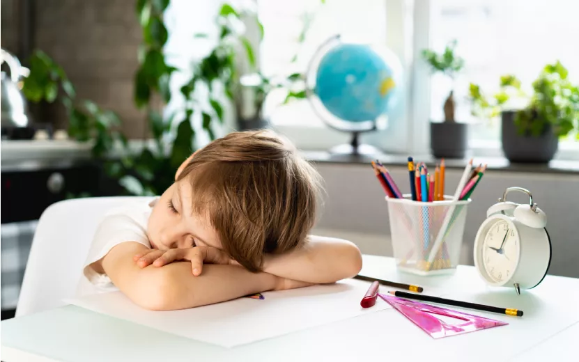 tired-schoolboy-fell-asleep-at-the-table-back-to-2023-11-27-05-28-08-utc.jpg