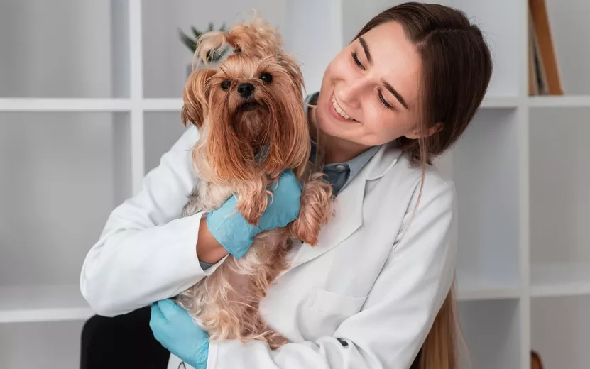 veterinarian-check-ing-puppy-s-health.jpg