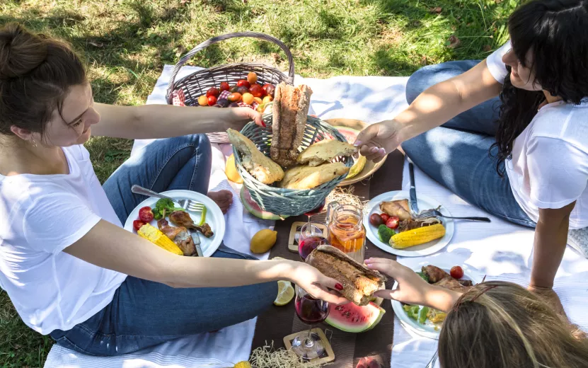 summer-picnic-with-friends-in-nature-with-food-and-2023-11-27-05-24-21-utc (1).jpg