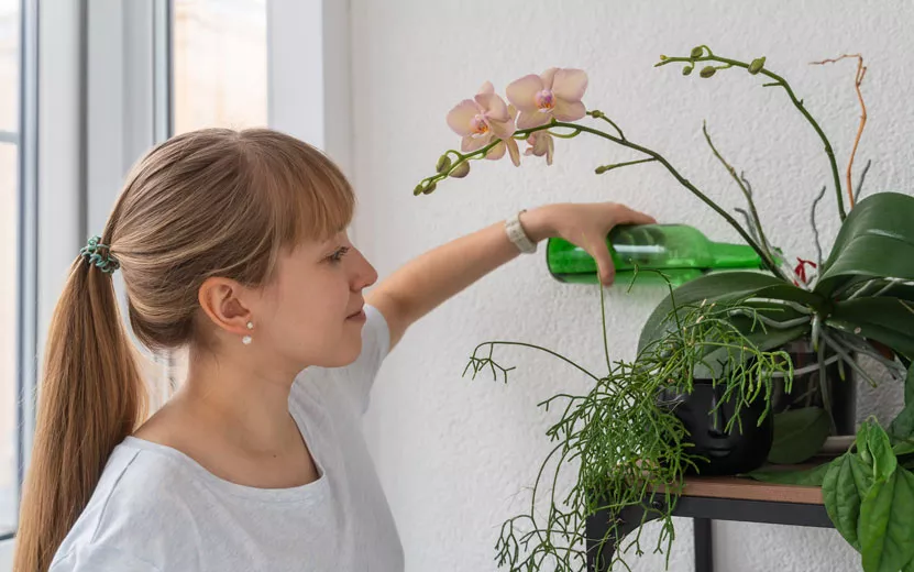 young-lady-watering-orchid-.jpg