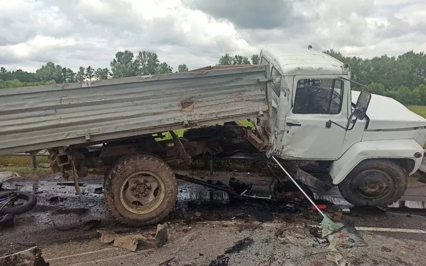 Момент ДТП с 4 погибшими в Удмуртии. Видео: vk.com/udmurtiya18rus