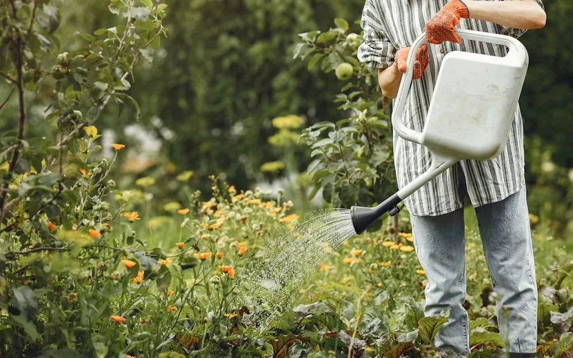 gardening-summer-woman-watering-flowers-with-watering-can-girl-wearing-hat (1).jpg