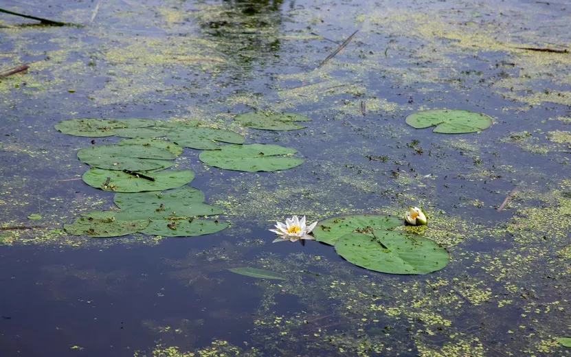 Главные новости Ижевска на утро 17 июня: отключение воды и смертельные ДТП