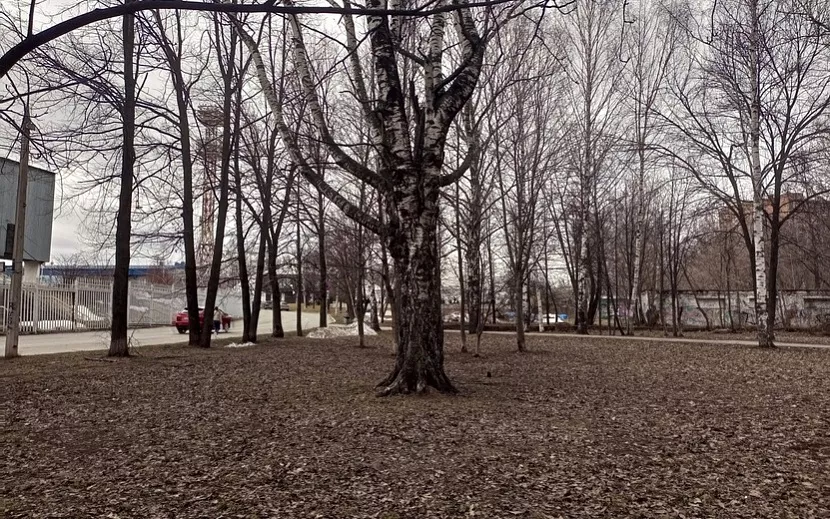 Мрачная аллея находится рядом с центральным стадионом Фото: Дана Солнцева