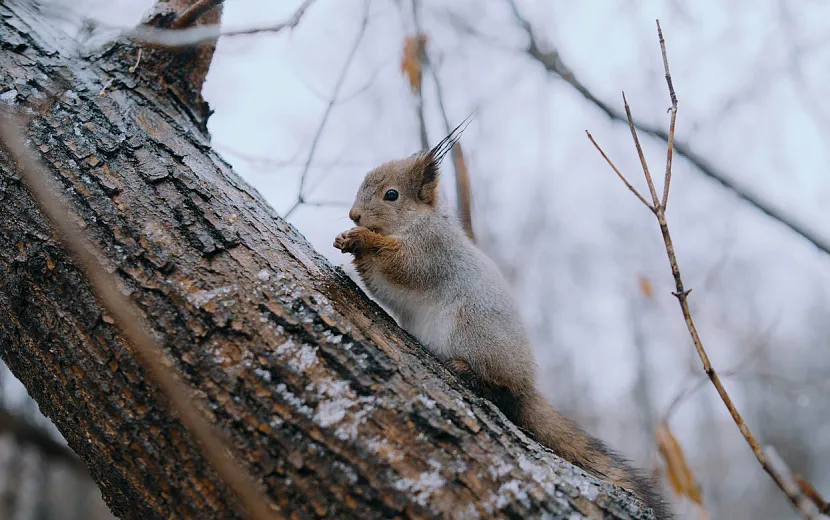 Фото: Маша Бакланова