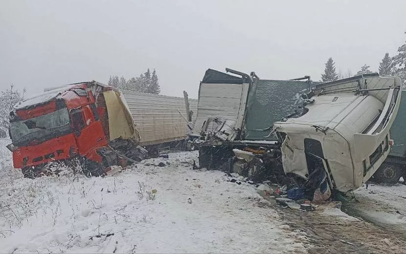 Фото: 1-й отдел УГИБДД по Удмуртии