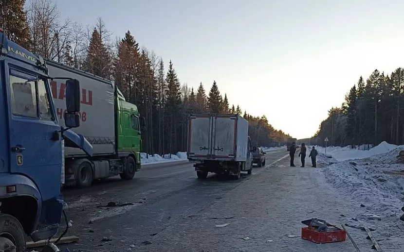 Фото: 1-й отдел УГИБДД по Удмуртии