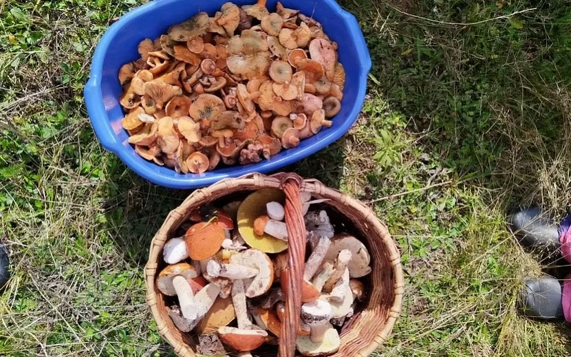 Фото: Светлана Петрова