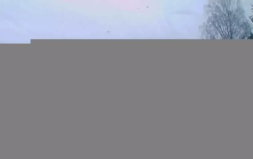 Фото: пресс-служба МВД по Удмуртии