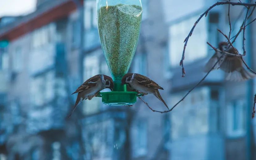 Фото: Данил Иванов