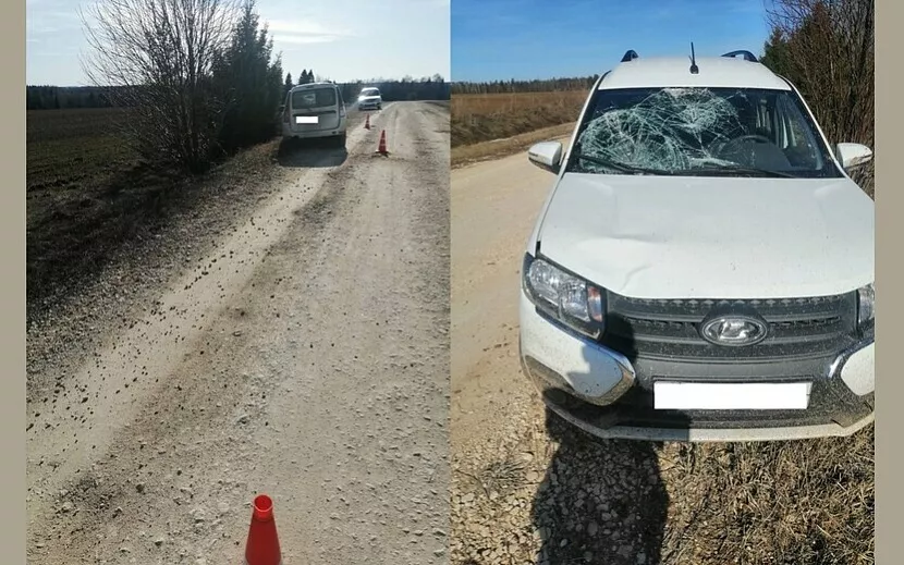Фото: Госавтоинспекция Удмуртии