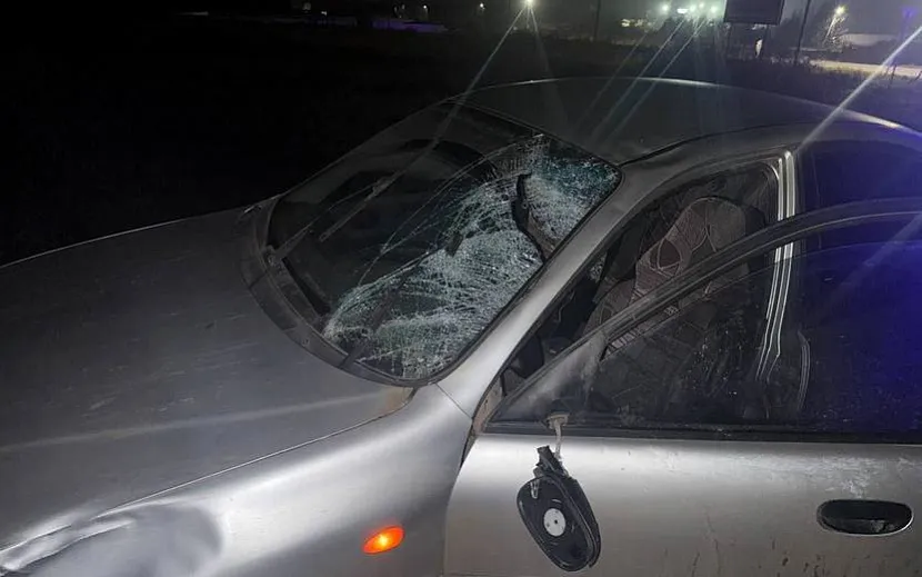 Фото: Госавтоинспекция Удмуртии