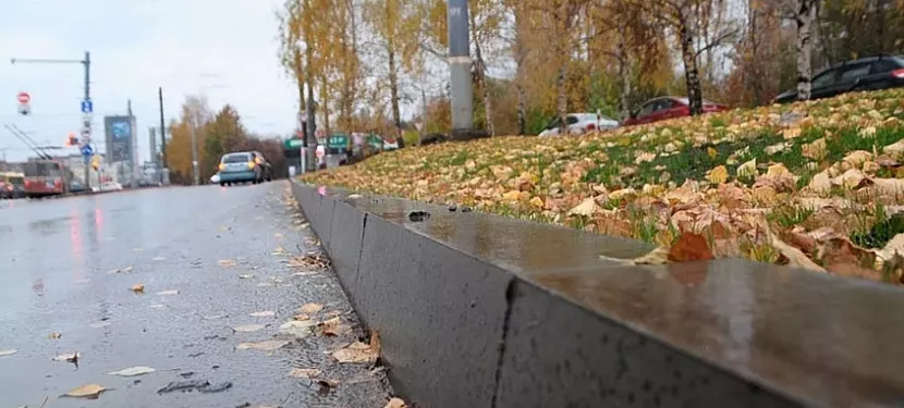 Фото: пресс-служба главы и правительства Удмуртии