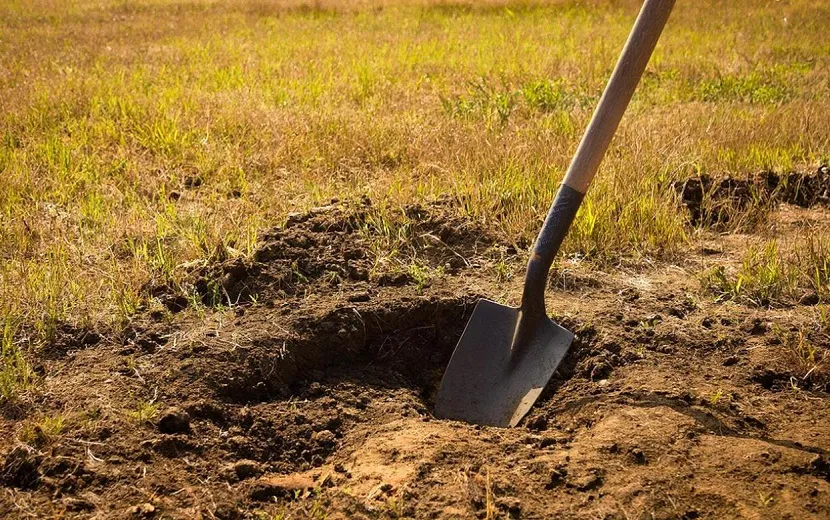 Фото: нейросеть