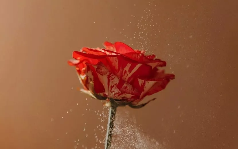 Отпустите чувства на волю. Фото: Мария Бакланова