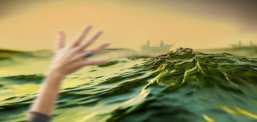pixabay.com