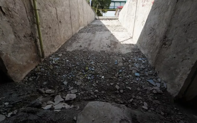 Дорога к знаниям всегда непроста и терниста. Фото: Маша Бакланова
