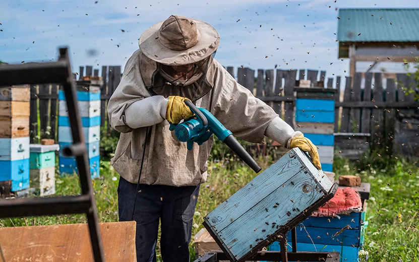 a-beekeeper-is-using-a-blower-blowing-air-inside-2021-12-22-17-23-10-utc.jpg