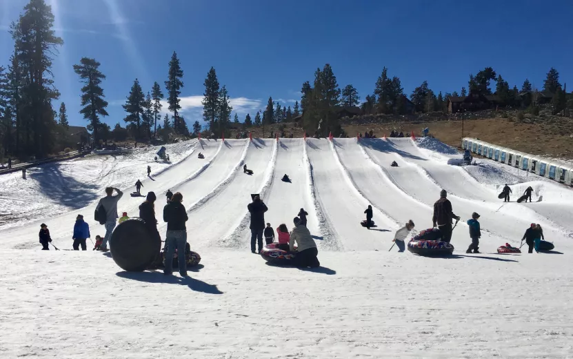 people-sledding-and-snow-tubing-on-sunny-day-2023-11-27-05-27-03-utc (1).jpg