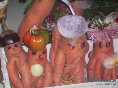 Ижевские медики сделали из баклажана ослика и вырастили «морковное семейство»