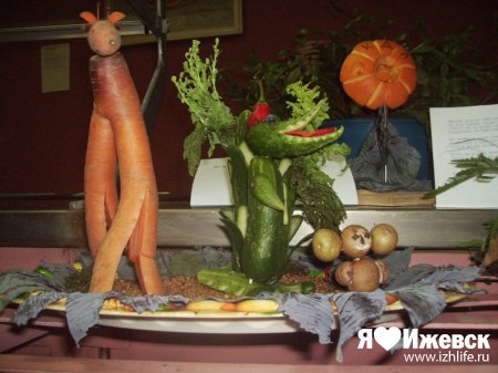 Ижевские медики сделали из баклажана ослика и вырастили «морковное семейство»