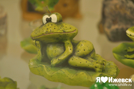 800 сладких, золотых, бумажных, деревянных и пр. лягушек можно увидеть в Ижевске
