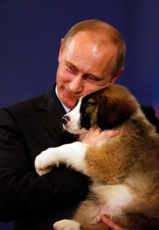 У Путина прибавление: ему подарили щенка болгарской породы