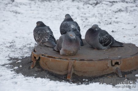 Мороз в Ижевске: как горожане переживают холода