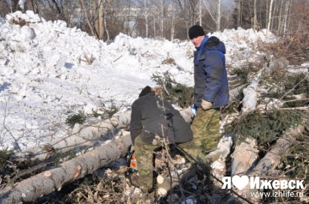 Лес у речки Карлутки в Ижевске вырубили подчистую