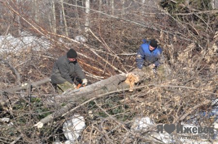 Лес у речки Карлутки в Ижевске вырубили подчистую