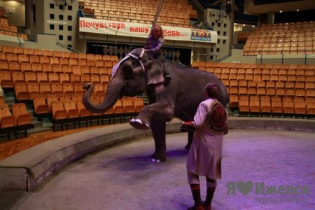 Ижевчанка выиграла на радио экстремальную поездку на слоне