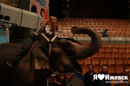 Ижевчанка выиграла на радио экстремальную поездку на слоне