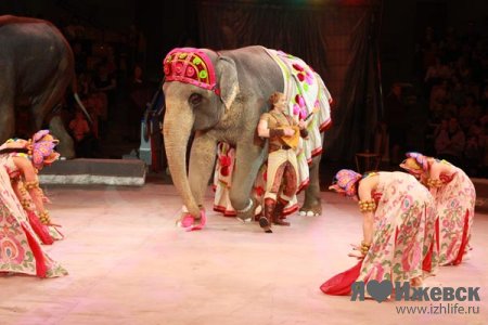 В Ижевске отмечают Всемирный день цирка